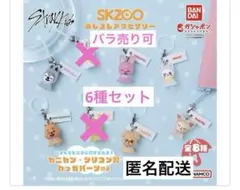 SKZOO スキズ　めじるしアクセサリー　ガチャ　6種セット