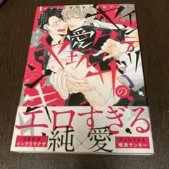 インテリヤクザの愛玩ヤンキー　　　あさひ