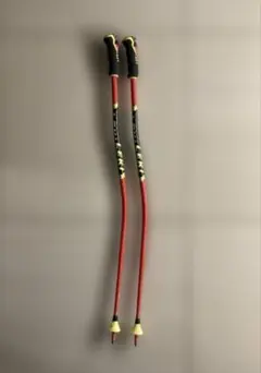 LEKI WCR LITE GSスキー ストック 105cm - メルカリ
