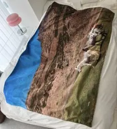 Photozeniagoods ブランケット　馬　山　風景