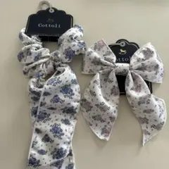 Item thumbnail for item 9cb94696-781c-4cde-baae-07394a665470