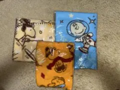 Item thumbnail for item 75e746da-0587-4383-a1be-a21c1ba71828