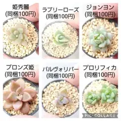 YukA様 リクエスト 6点 まとめ商品