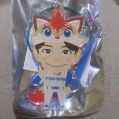 中島卓也　プレミアムガチャ　オーロラキーリング
