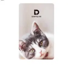 DARTSLIVE 猫デザイン ダーツカード - メルカリ