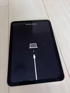 iPAD mini 第6世代 cellular SIMフリー　ジャンク iPad mini 8.3インチ 第6世代 Wi-Fi+Cellular 256GB 2021年秋