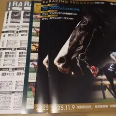 11/8.9 JRA レーシングプログラム 25