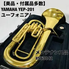 2026年最新】YEP201の人気アイテム - メルカリ