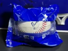 Item thumbnail for item 0c84f262-2ad6-48b2-b51e-9555f1e26b07