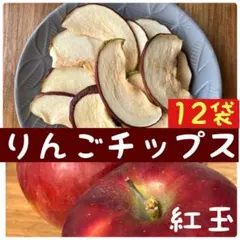 2026年最新】りんごチップスの人気アイテム - メルカリ