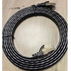 残り1点⭐️2m LANケーブルCAT8 フラット 爪折れ防止 難燃性 耐候性