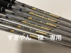 2025年最新】ダイナミックゴールドツアーイシューs200の人気