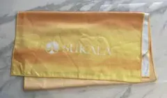 Item thumbnail for item 17397fa1-9b2a-4186-bcfb-a9844d18b7dc