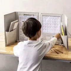 Item thumbnail for item 851136ba-acd3-43fa-99a1-3a303381e0d3