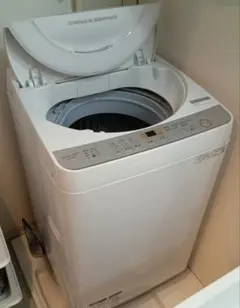 2025年製！美品 ヤマダ電機RORO縦型洗濯機5.5kg(YWM-T55LW) RORO 縦型洗濯機 5.5kg YWM-T55LW 2024年製 - メルカリ