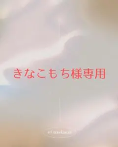 【きなこもち様専用】