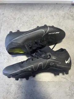 Item thumbnail for item 2b5b31eb-d230-417f-8386-6013a844bac2