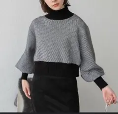 JEANASIS Wフェイスフトリブショートハイネック