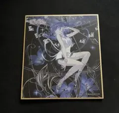 プロセカ　ミニ色紙59B 【朝比奈まふゆ】のサムネイル