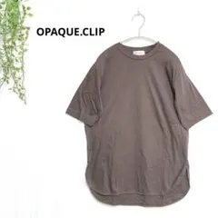 オペークドットクリップ　Tシャツカットソー　大人カジュアル　コットン100%