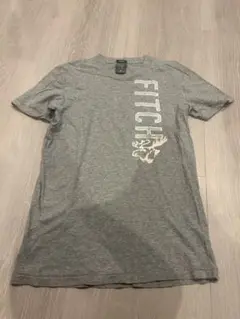 Abercrombie & Fitch アバクロ　グレー Tシャツ S 新品