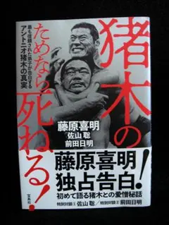 Item thumbnail for item 3ef25112-c772-4e9b-9119-921d29b31df5