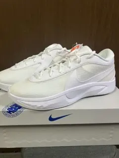 新品未使用　NIKE Giannis Freak 6 EP 28cm ジョーダンのサムネイル