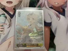 次なる未知への探究ハルヒ　SP サイン ヴァイス 角川スニーカーVol.2 【次なる未知への探究 ハルヒ】 SP