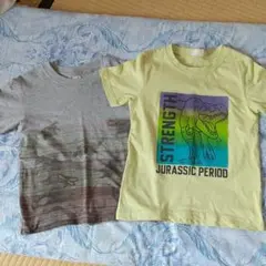 恐竜Tシャツ２枚 110120