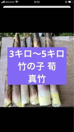 2026年最新】真竹 苗の人気アイテム - メルカリ