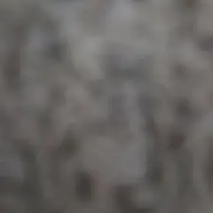 TOY STORE (まとめ依頼がお得)様　専用