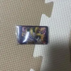 ポケモンフレンダ　スーパートレジャー　レジギガス