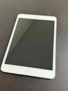 初代 iPad mini（中古）