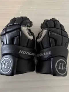 Item thumbnail for item 58f1af36-453a-4180-a51e-c952265ef7a4