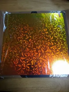 ビルドプレート QIDI Q2 用　カメレオン柄PEI/カーボン柄PET