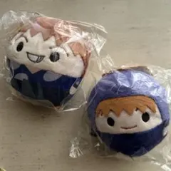 忍たま乱太郎　ふわコロりん　不破雷蔵　鉢屋三郎