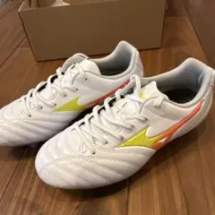 MIZUNO WAITANAI スパイク 28.0cm - メルカリ