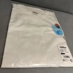 Item thumbnail for item 34a665b1-d715-496e-bb29-01e02fc6198d