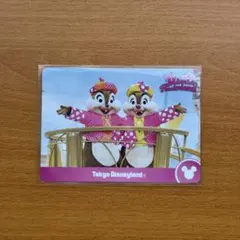 ディズニー パルパルーザ コレクションカード チップ&デール