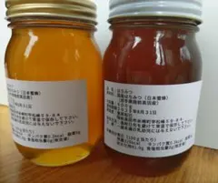 日本蜜蜂の蜂蜜 今年6月末に採蜜 実量500g×2本 賞味期限2028年6月
