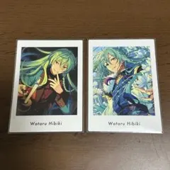 日々樹渉 ぱしゃっつ