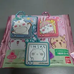 ちいかわ ぷっくりラバマスグミ4 3個セット