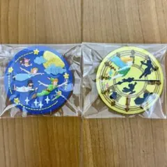 ディズニー刺繍缶バッジ　ピーターパン　２個セット