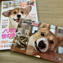 Item thumbnail for item 504a3362-6482-490a-8acd-0b57d32b7464