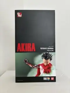 PBM! 島鉄雄 「AKIRA」 PROJECT BM! No.40 - メルカリ