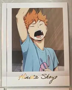 ハイキュー ぱしゃこれ PREMIUM 日向翔陽