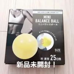 MINI BALANCE BALL 直径25cm 新品未開封
