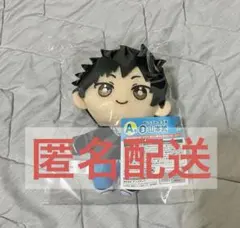 ひこくじ REBORN 山本武 A賞 ぬいぐるみ