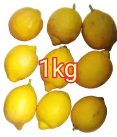 お得！ ①新鮮レモン 1kg 農薬なし 家庭菜園
