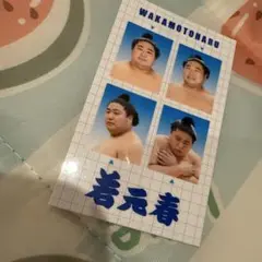 若元春関　証明写真風ステッカー　大相撲　国技館